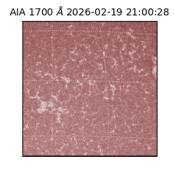 saia - 2026-02-19T21:00:28.713000