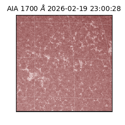 saia - 2026-02-19T23:00:28.711000