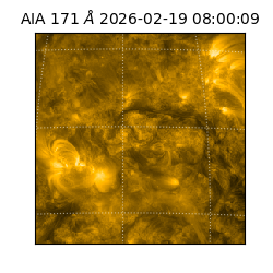 saia - 2026-02-19T08:00:09.353000