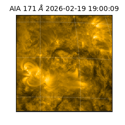 saia - 2026-02-19T19:00:09.353000