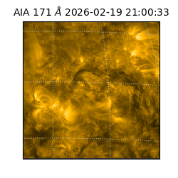 saia - 2026-02-19T21:00:33.342000