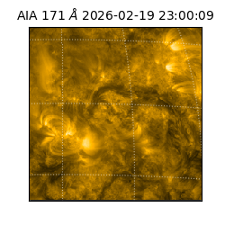 saia - 2026-02-19T23:00:09.351000