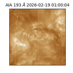 saia - 2026-02-19T01:00:04.843000