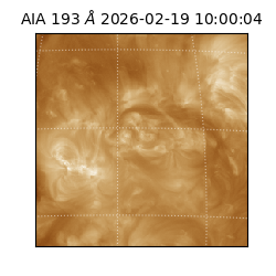 saia - 2026-02-19T10:00:04.843000