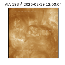 saia - 2026-02-19T12:00:04.835000