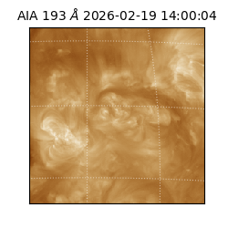 saia - 2026-02-19T14:00:04.843000