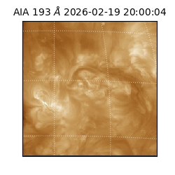 saia - 2026-02-19T20:00:04.843000