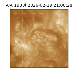 saia - 2026-02-19T21:00:28.839000