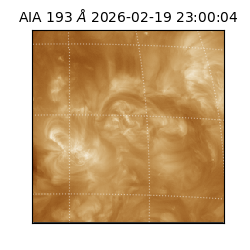 saia - 2026-02-19T23:00:04.843000