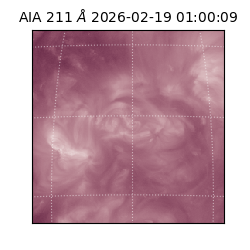 saia - 2026-02-19T01:00:09.630000