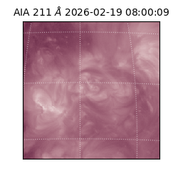 saia - 2026-02-19T08:00:09.632000