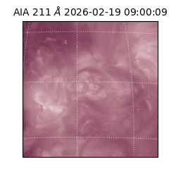 saia - 2026-02-19T09:00:09.632000