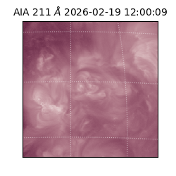 saia - 2026-02-19T12:00:09.624000