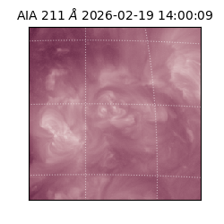 saia - 2026-02-19T14:00:09.634000