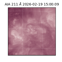 saia - 2026-02-19T15:00:09.634000