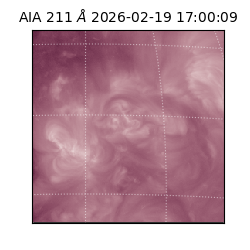 saia - 2026-02-19T17:00:09.619000