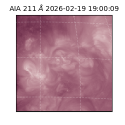 saia - 2026-02-19T19:00:09.626000