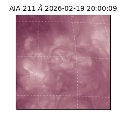 saia - 2026-02-19T20:00:09.631000