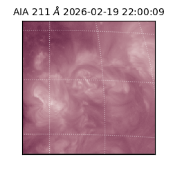 saia - 2026-02-19T22:00:09.618000