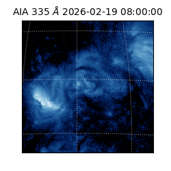 saia - 2026-02-19T08:00:00.619000