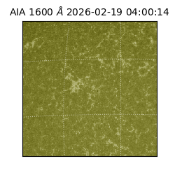 saia - 2026-02-19T04:00:14.131000