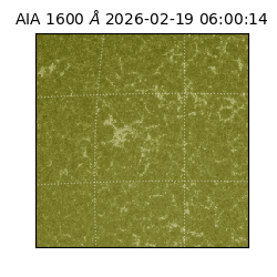 saia - 2026-02-19T06:00:14.118000