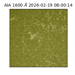 saia - 2026-02-19T08:00:14.125000