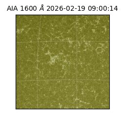 saia - 2026-02-19T09:00:14.125000