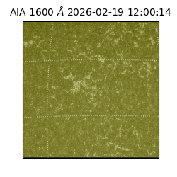 saia - 2026-02-19T12:00:14.118000