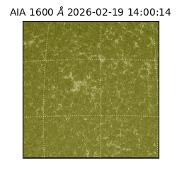 saia - 2026-02-19T14:00:14.125000