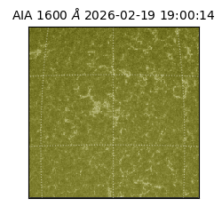 saia - 2026-02-19T19:00:14.125000