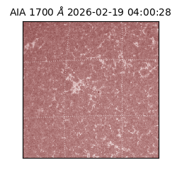 saia - 2026-02-19T04:00:28.717000