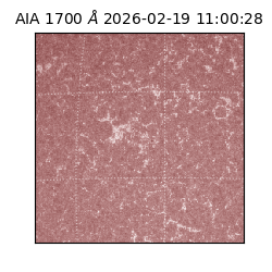 saia - 2026-02-19T11:00:28.709000