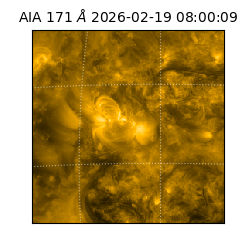 saia - 2026-02-19T08:00:09.353000