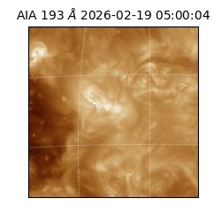 saia - 2026-02-19T05:00:04.843000