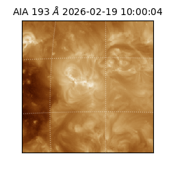 saia - 2026-02-19T10:00:04.843000