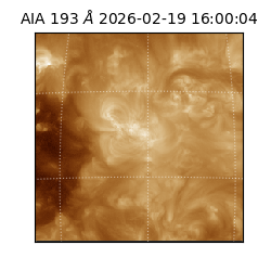 saia - 2026-02-19T16:00:04.843000