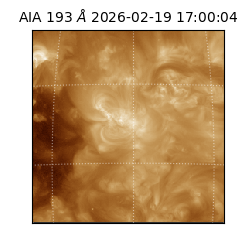 saia - 2026-02-19T17:00:04.838000