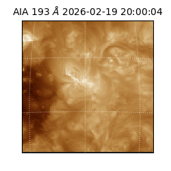 saia - 2026-02-19T20:00:04.843000