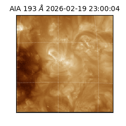 saia - 2026-02-19T23:00:04.843000