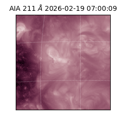 saia - 2026-02-19T07:00:09.633000