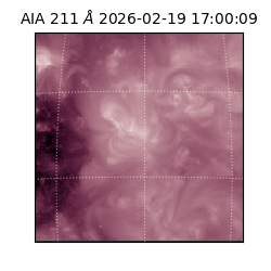 saia - 2026-02-19T17:00:09.619000