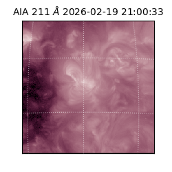 saia - 2026-02-19T21:00:33.619000