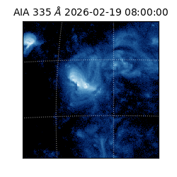 saia - 2026-02-19T08:00:00.619000