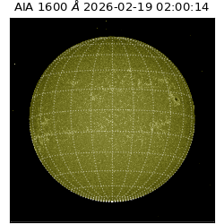 saia - 2026-02-19T02:00:14.125000