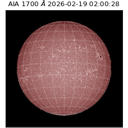 saia - 2026-02-19T02:00:28.717000