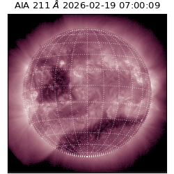 saia - 2026-02-19T07:00:09.633000