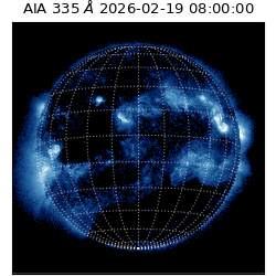saia - 2026-02-19T08:00:00.619000