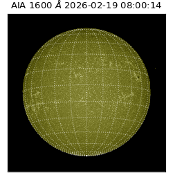 saia - 2026-02-19T08:00:14.125000