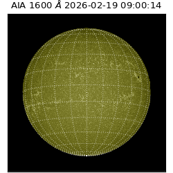 saia - 2026-02-19T09:00:14.125000
